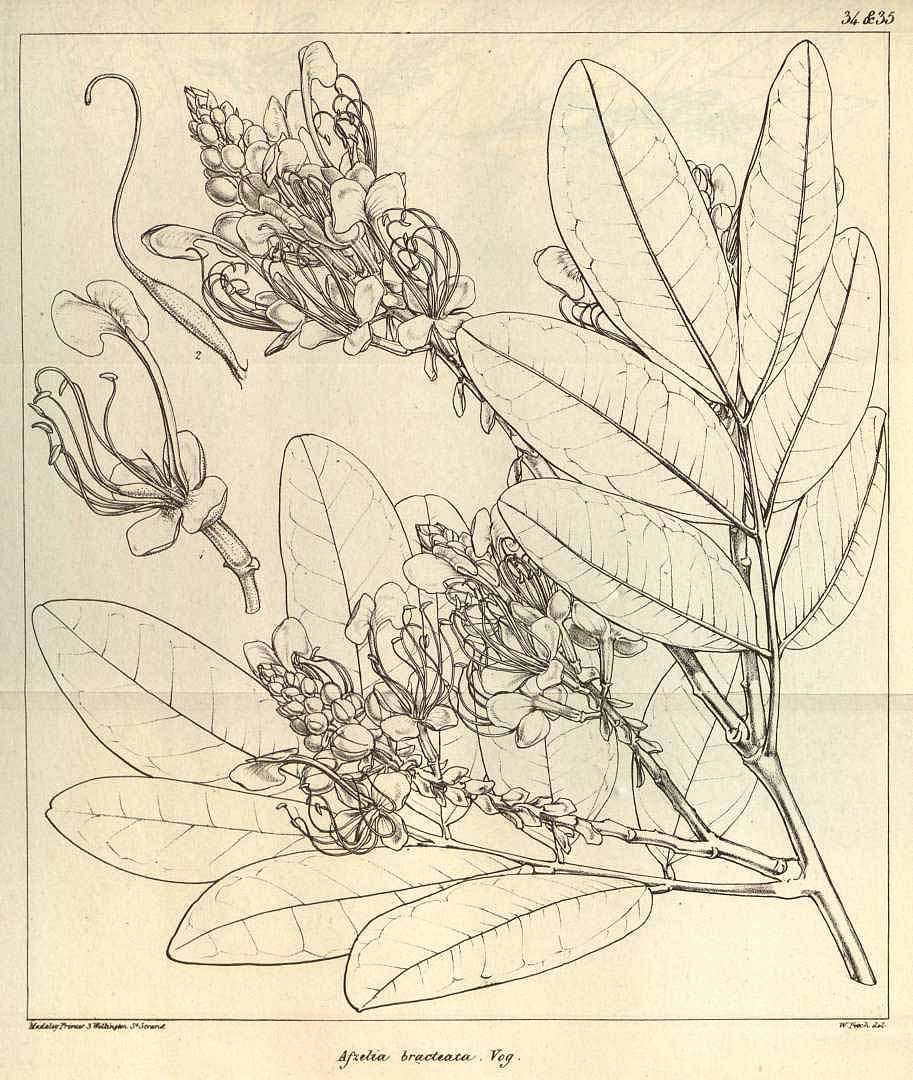 no HD illustration available (3)