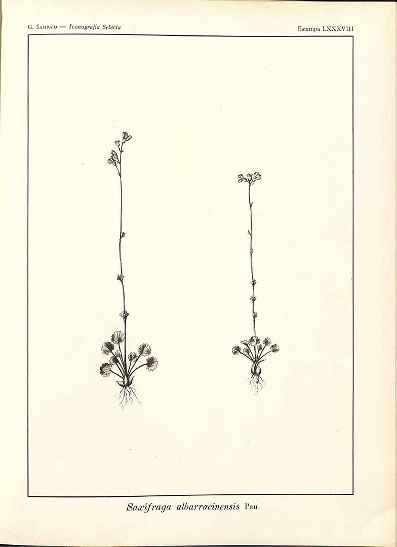 no HD illustration available (3)