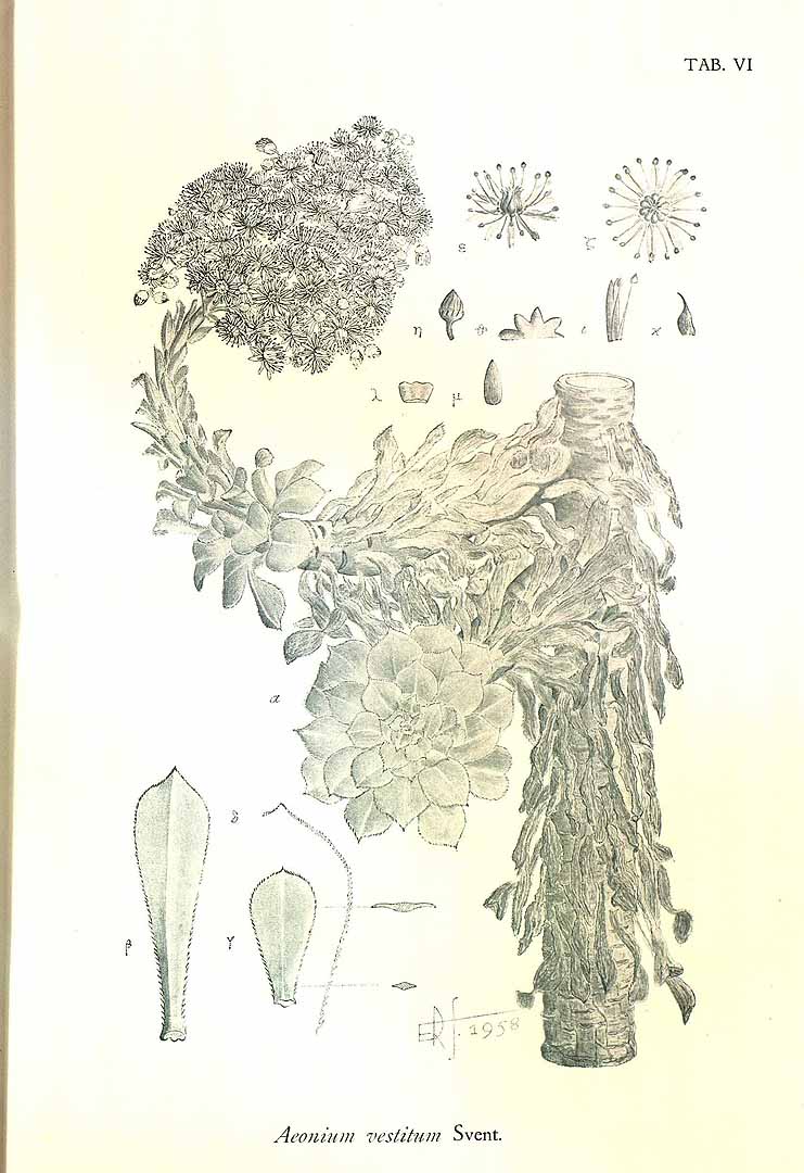 no HD illustration available (3)