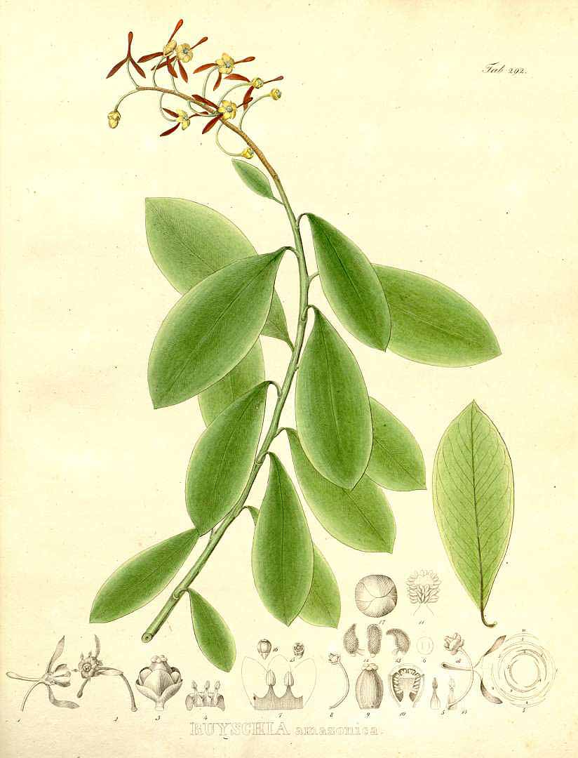 no HD illustration available (3)
