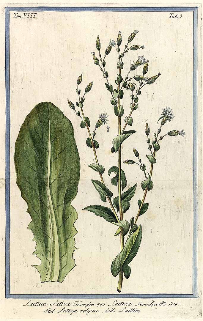 no HD illustration available (3)