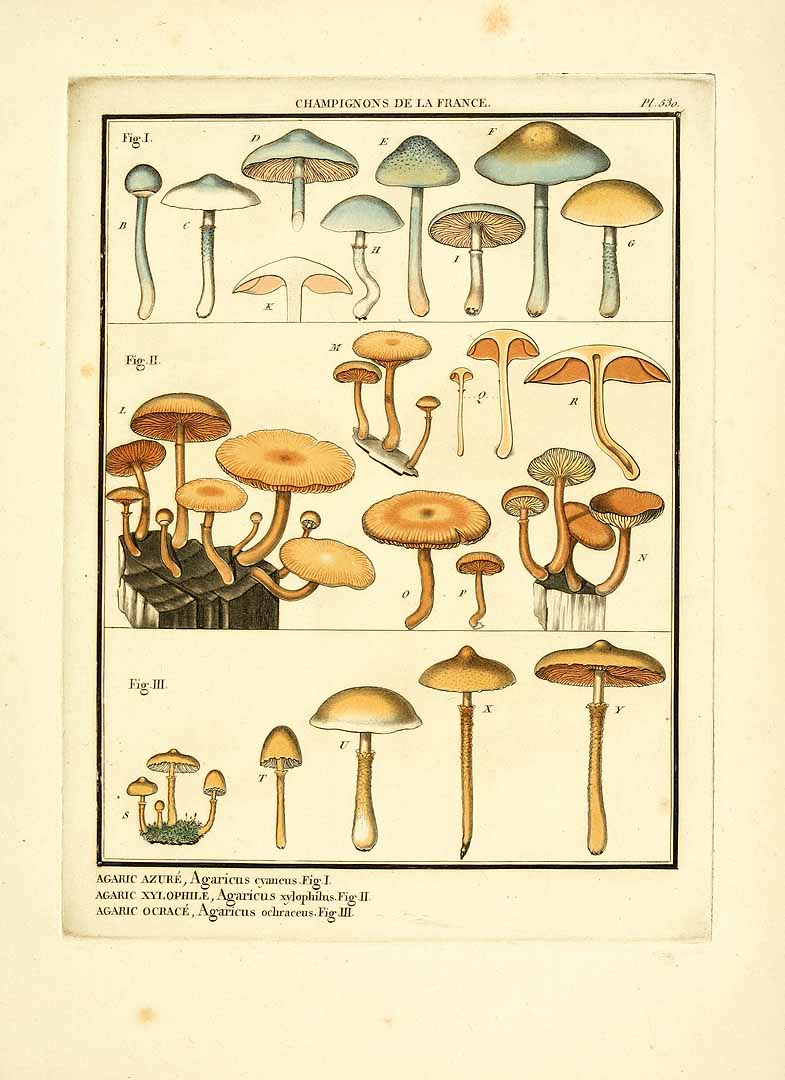 no HD illustration available (3)