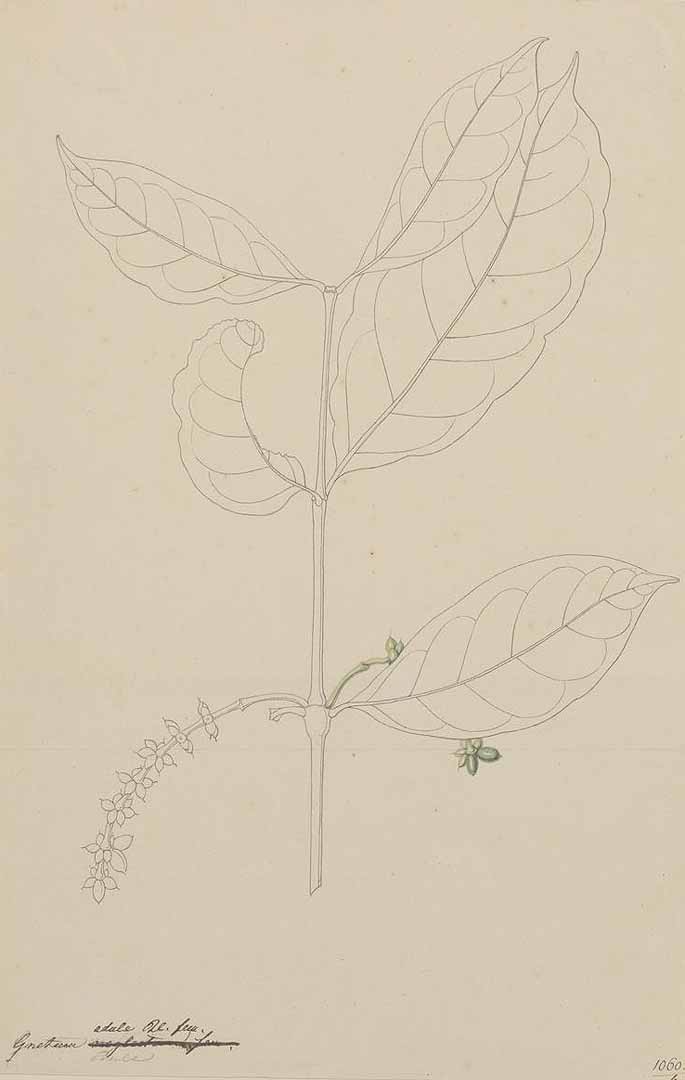 no HD illustration available (3)