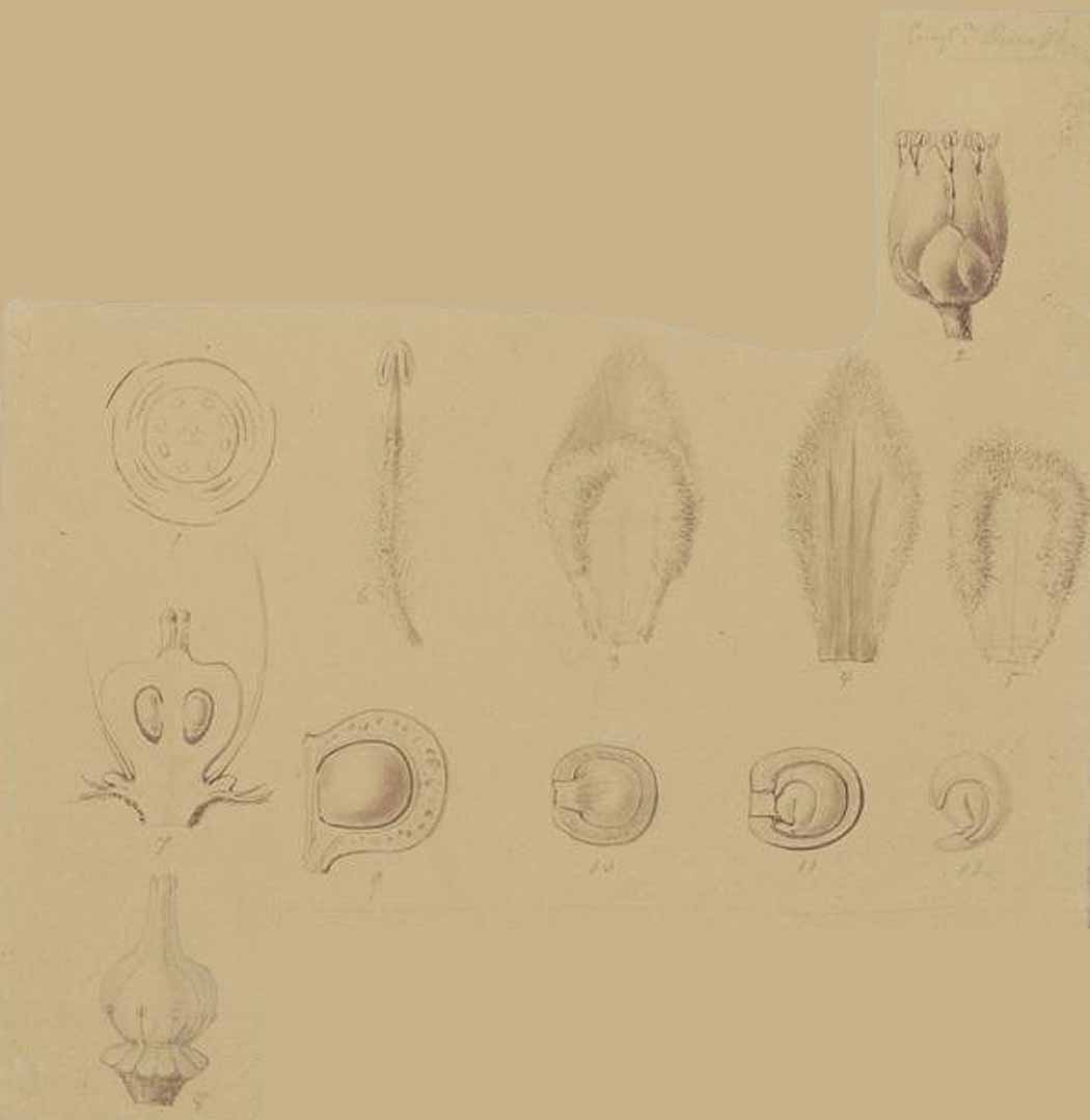 no HD illustration available (3)