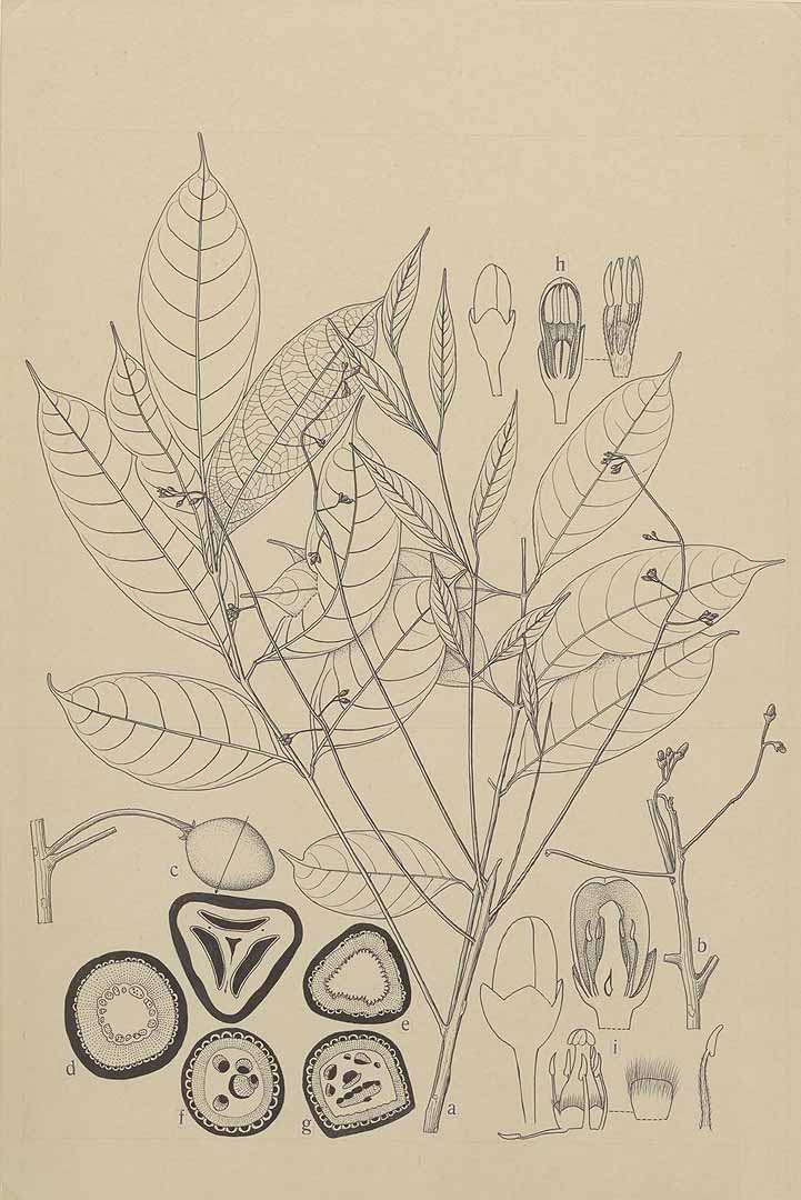 no HD illustration available (3)