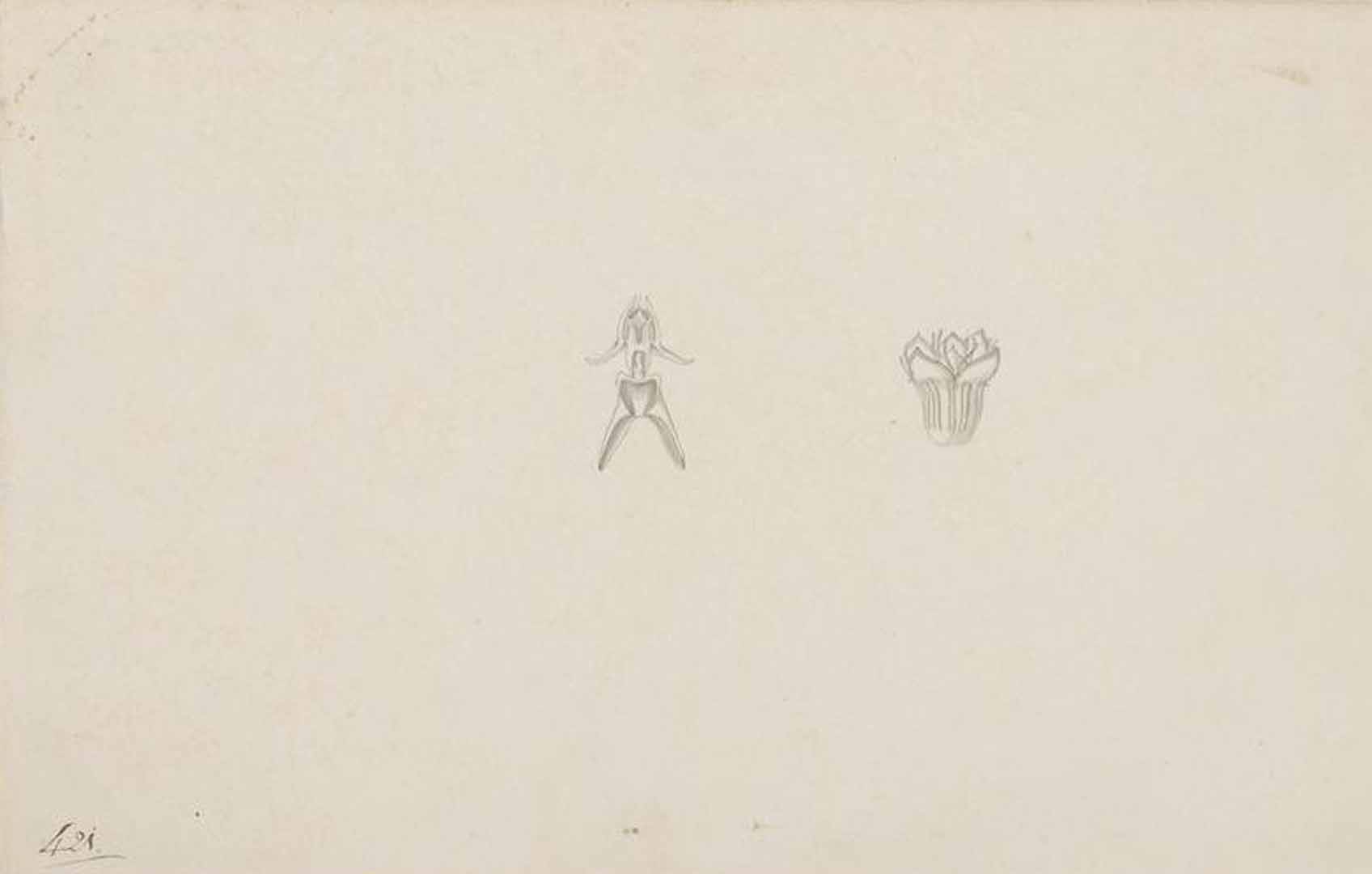 no HD illustration available (3)