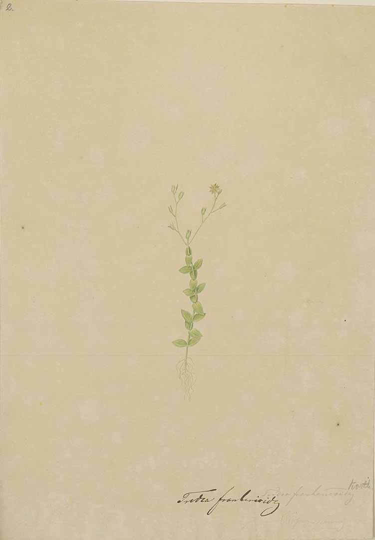 no HD illustration available (3)