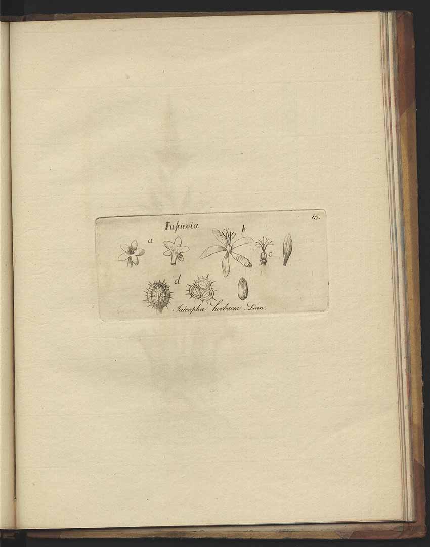 no HD illustration available (3)