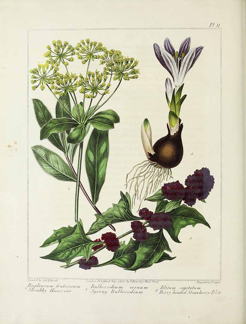 no HD illustration available (3)