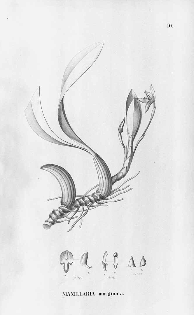 no HD illustration available (3)