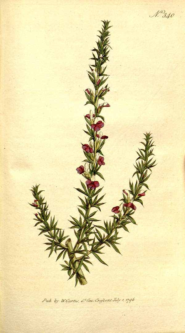 no HD illustration available (3)