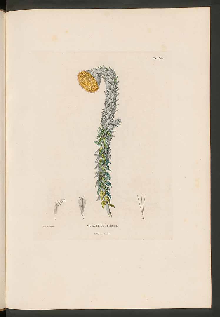 no HD illustration available (3)