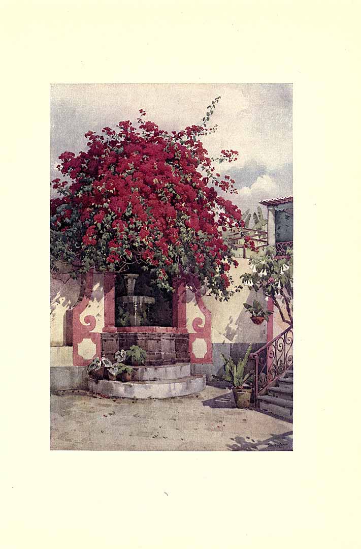 no HD illustration available (3)