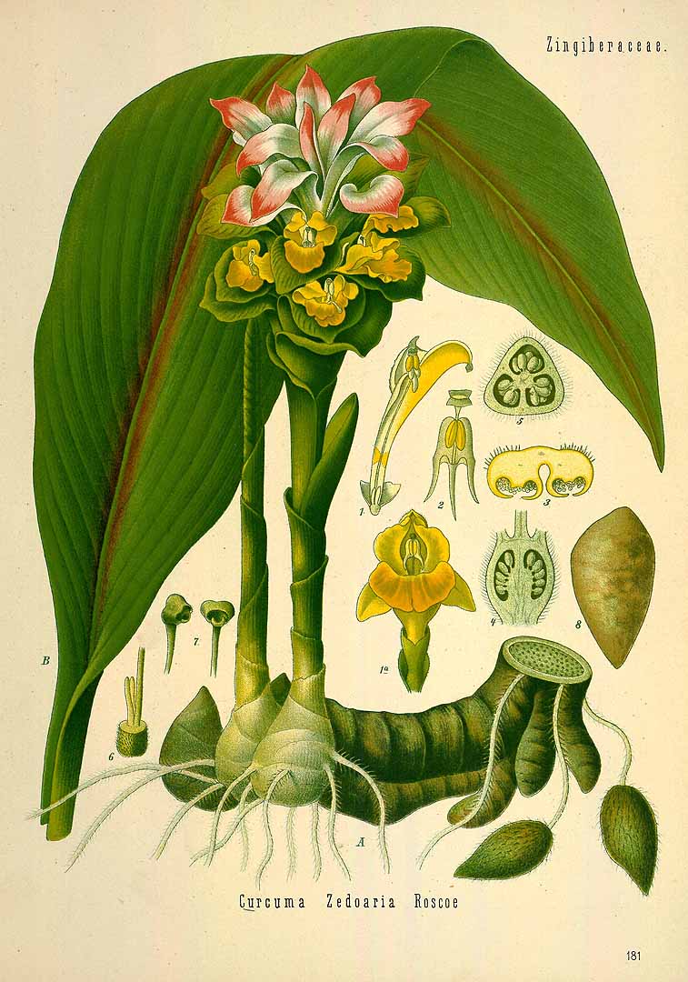 no HD illustration available (3)