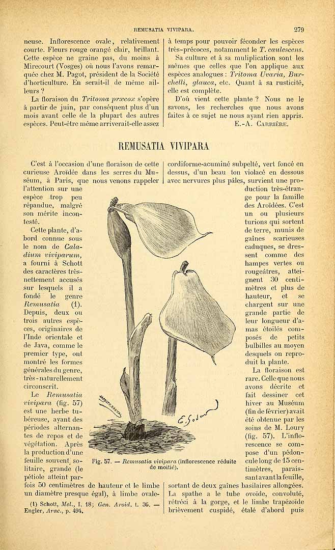 no HD illustration available (3)