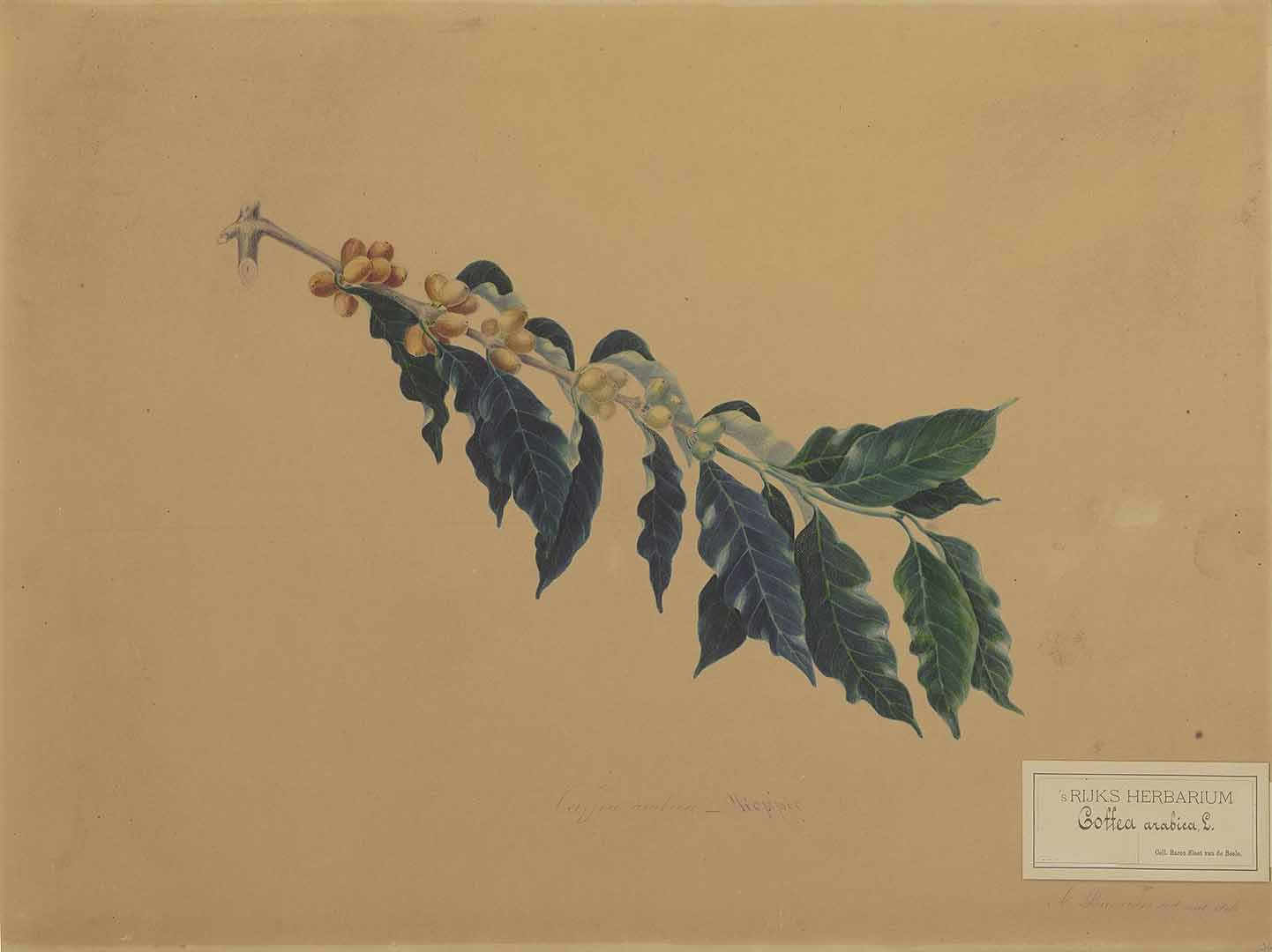 no HD illustration available (3)