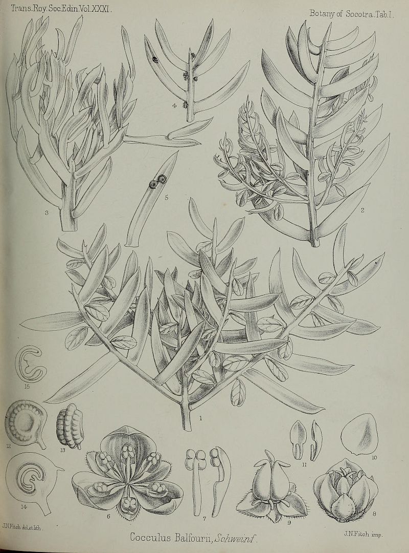 no HD illustration available (3)