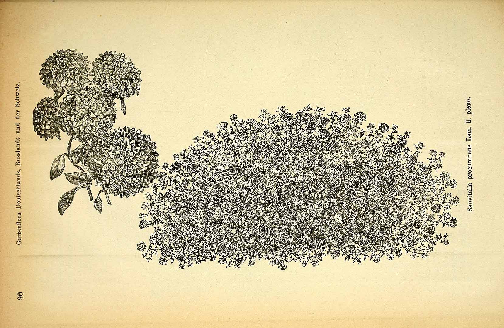 no HD illustration available (3)