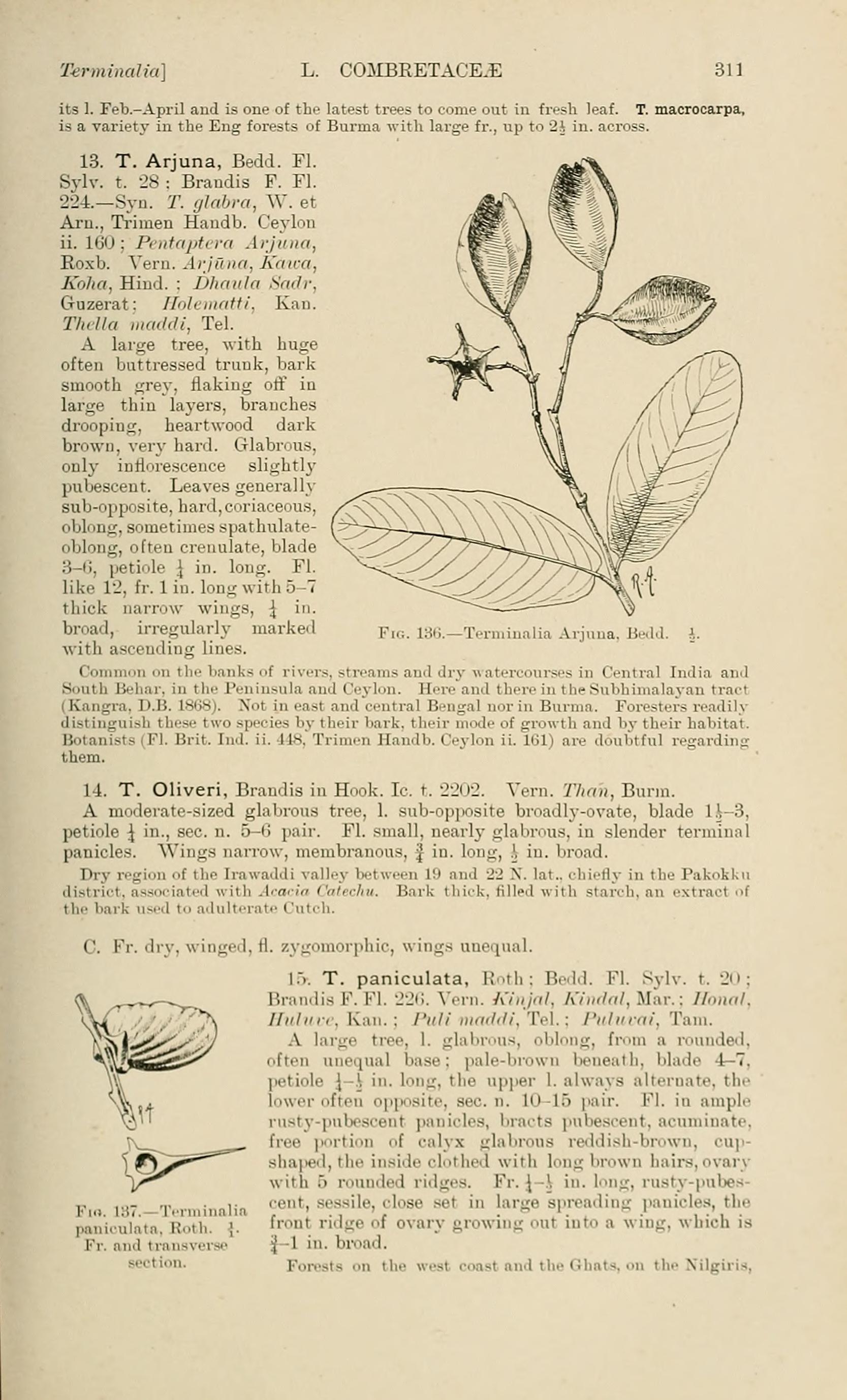 no HD illustration available (3)