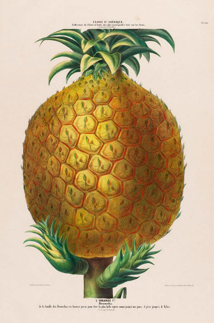 no HD illustration available (3)