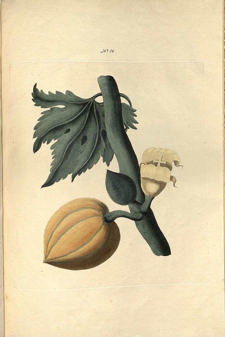 no HD illustration available (3)