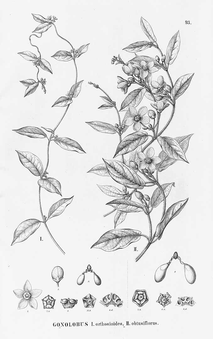no HD illustration available (3)