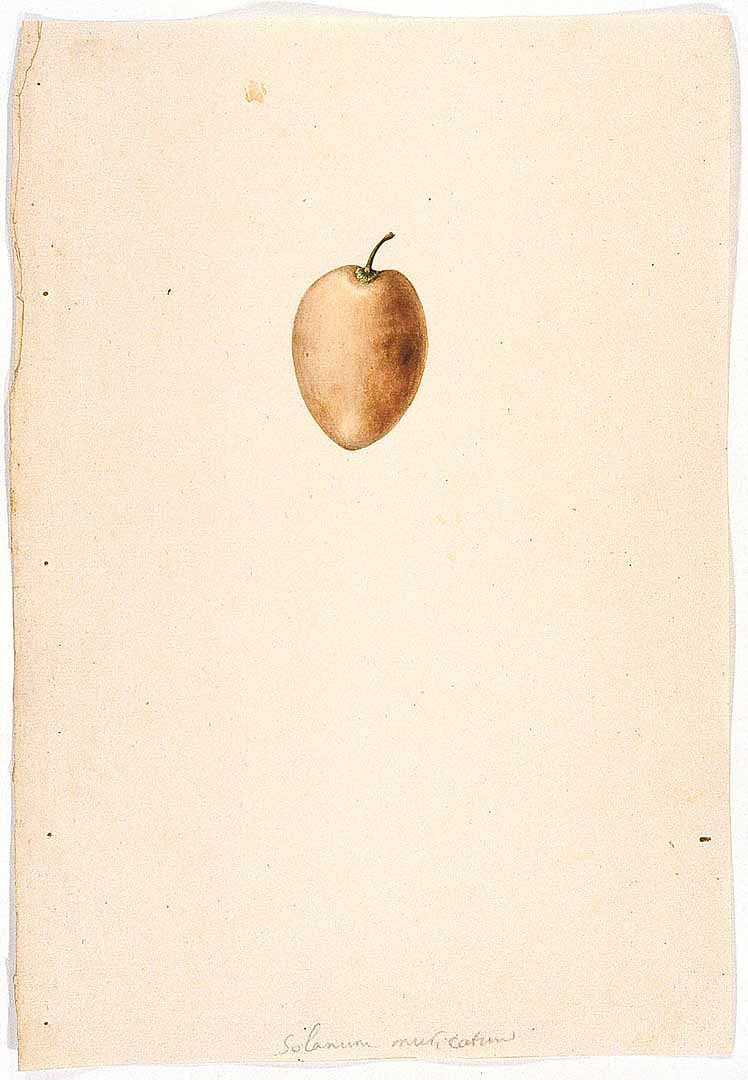 no HD illustration available (3)
