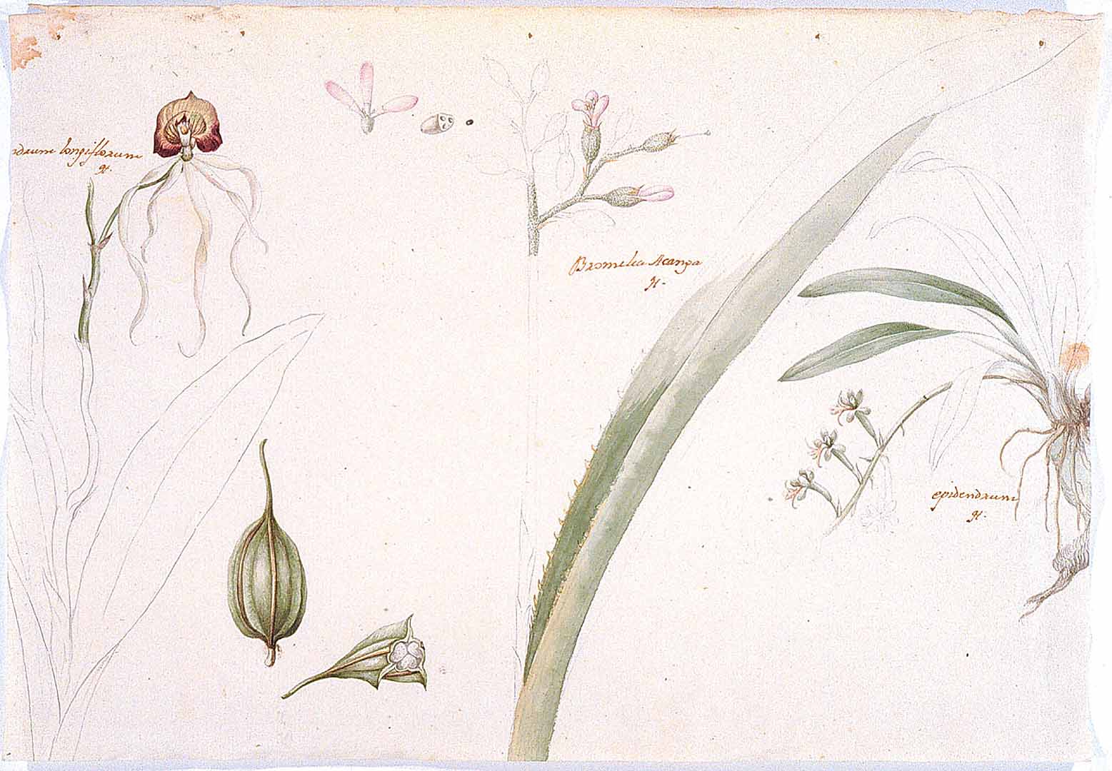 no HD illustration available (3)
