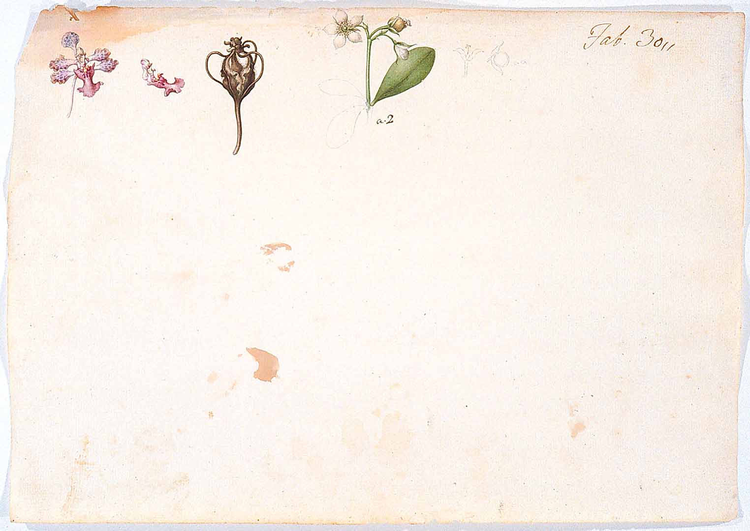 no HD illustration available (3)
