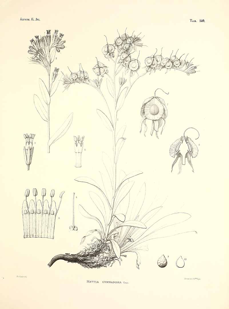 no HD illustration available (3)