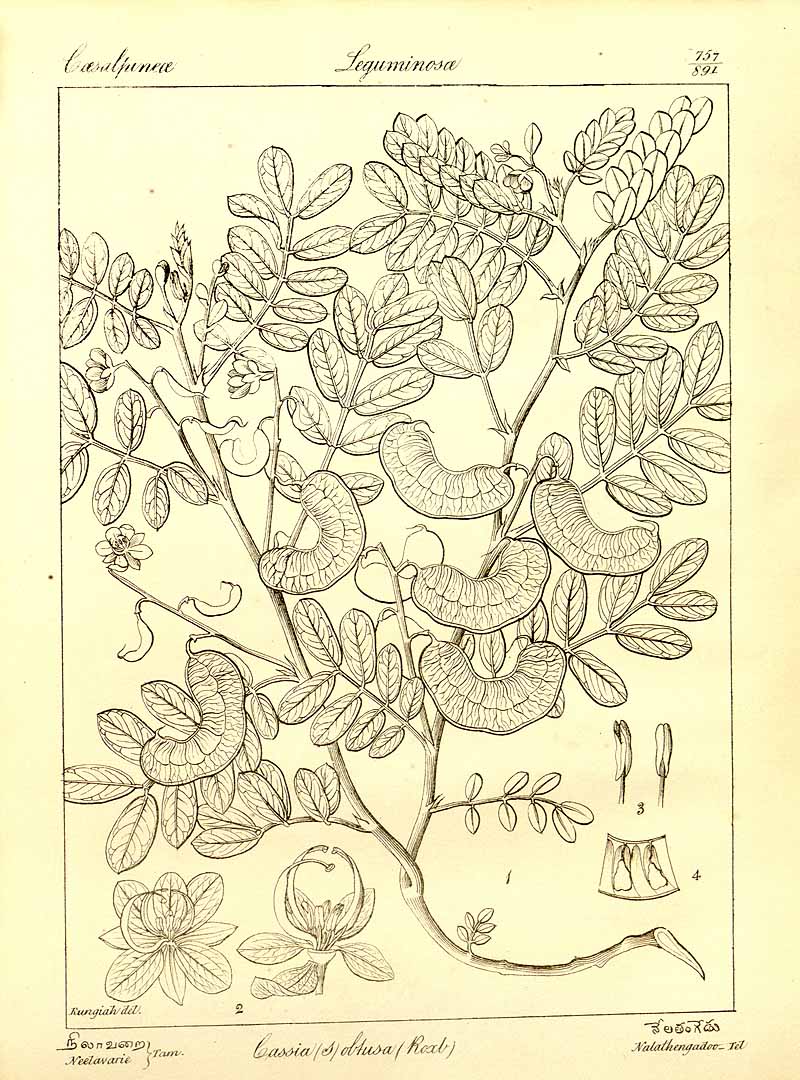 no HD illustration available (3)