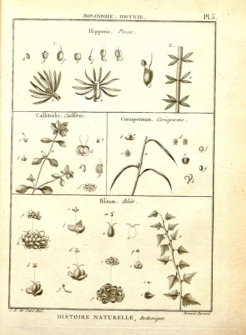 no HD illustration available (3)