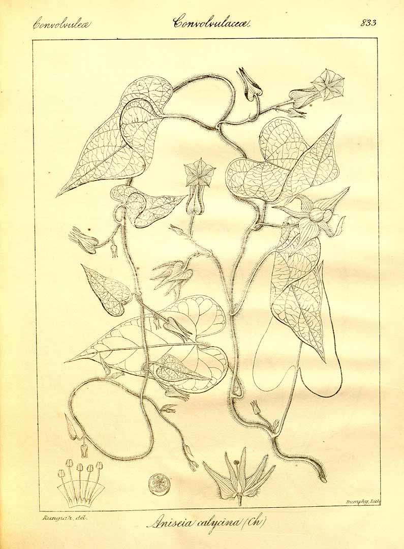 no HD illustration available (3)