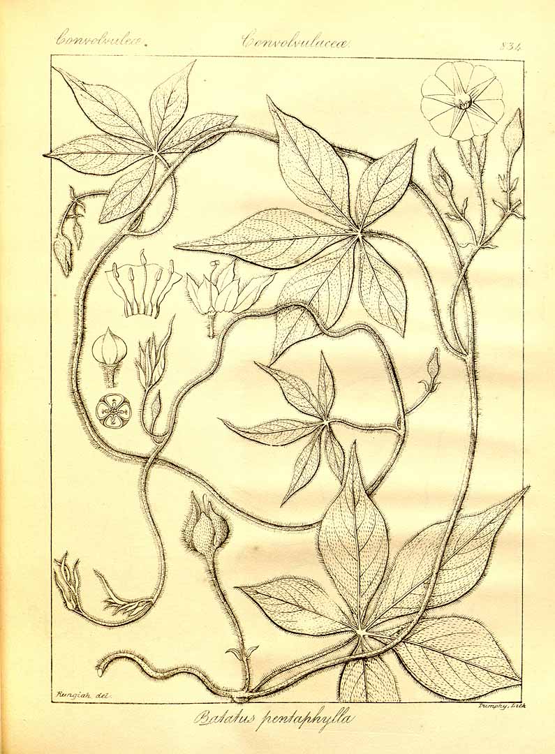 no HD illustration available (3)