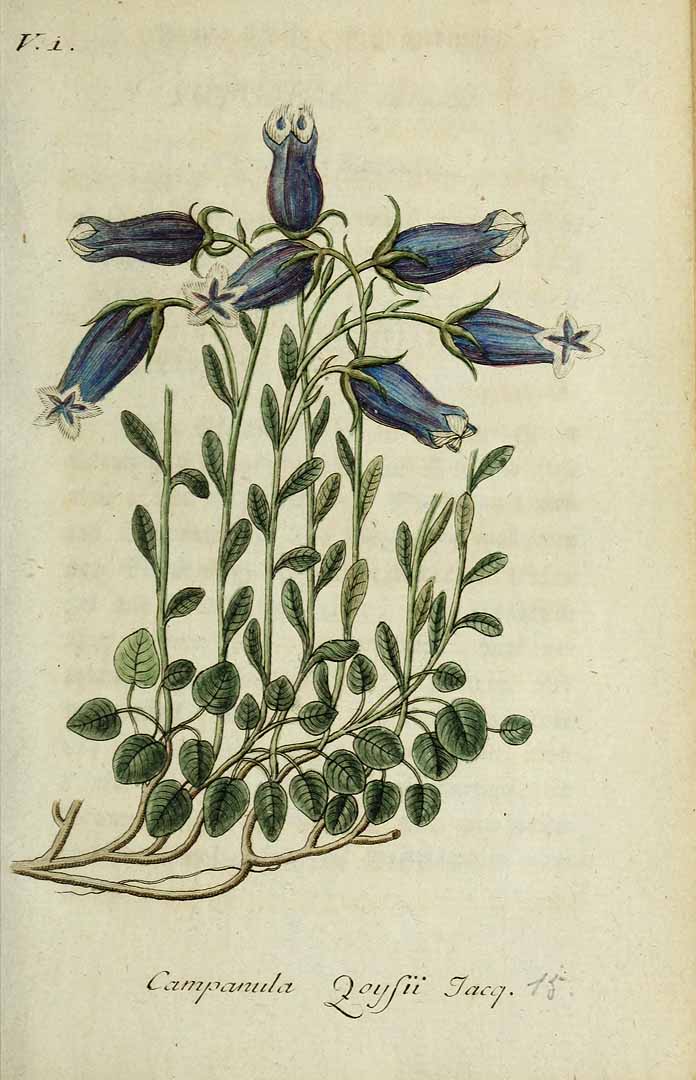 no HD illustration available (3)