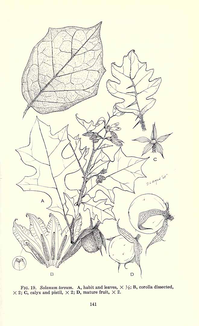 no HD illustration available (3)