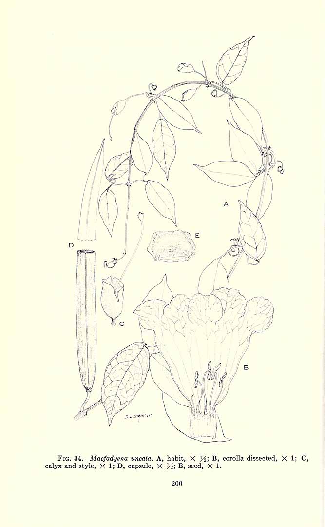 no HD illustration available (3)