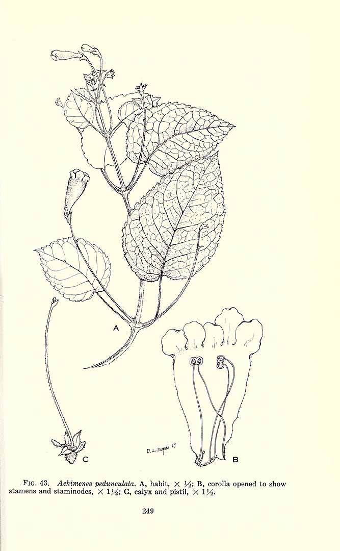 no HD illustration available (3)