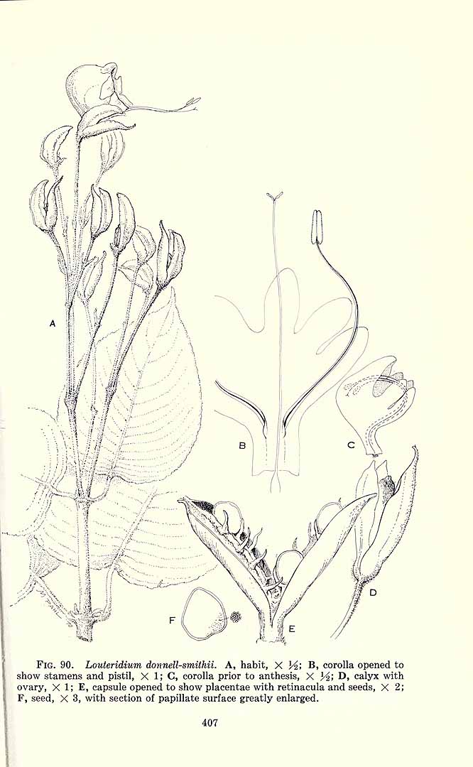 no HD illustration available (3)