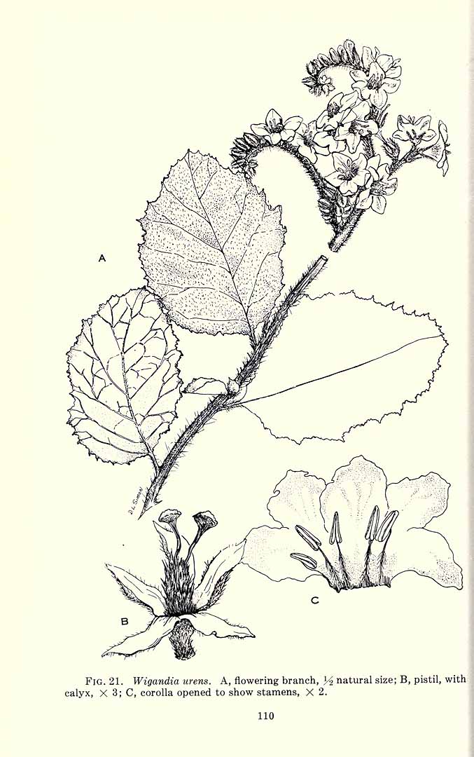 no HD illustration available (3)