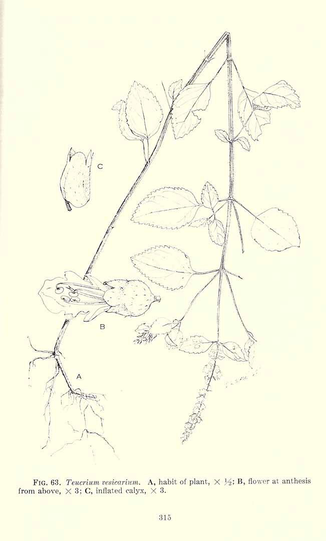 no HD illustration available (3)