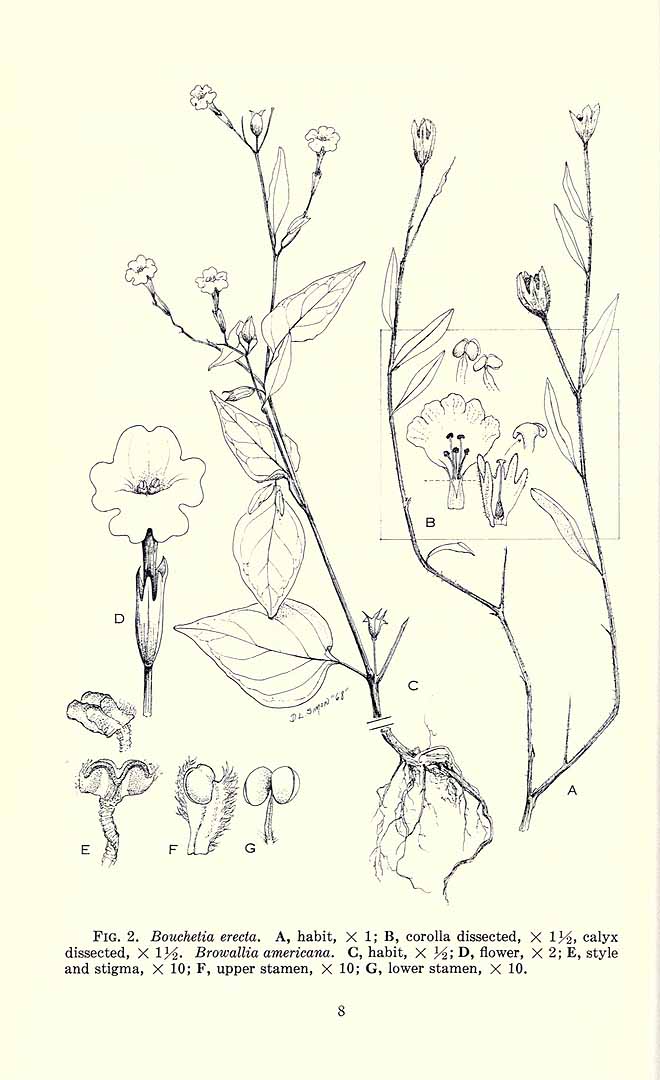 no HD illustration available (3)