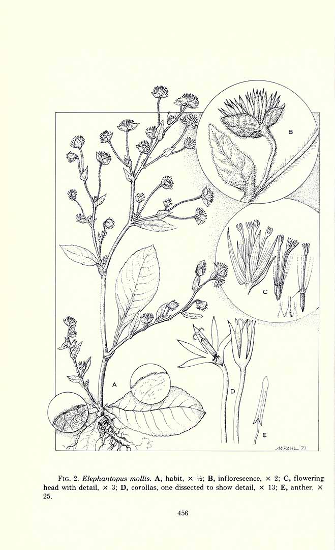no HD illustration available (3)