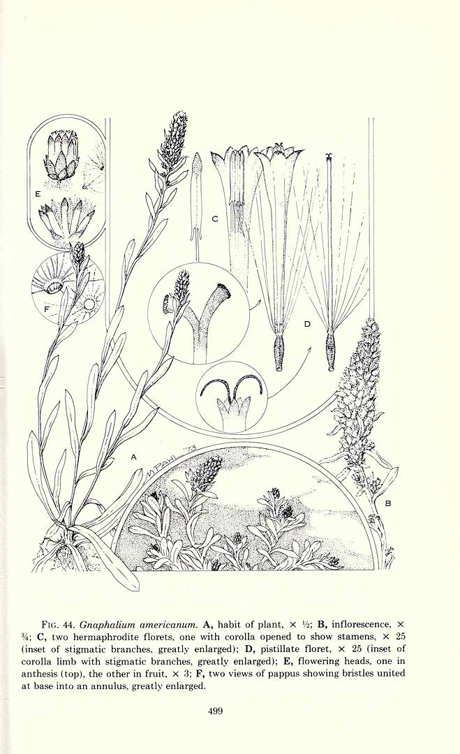 no HD illustration available (3)