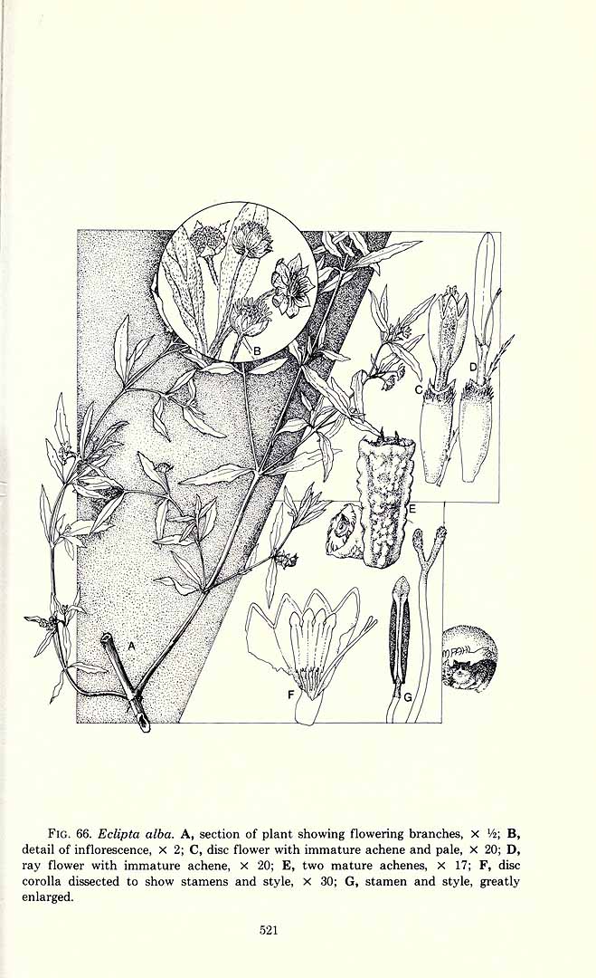 no HD illustration available (3)