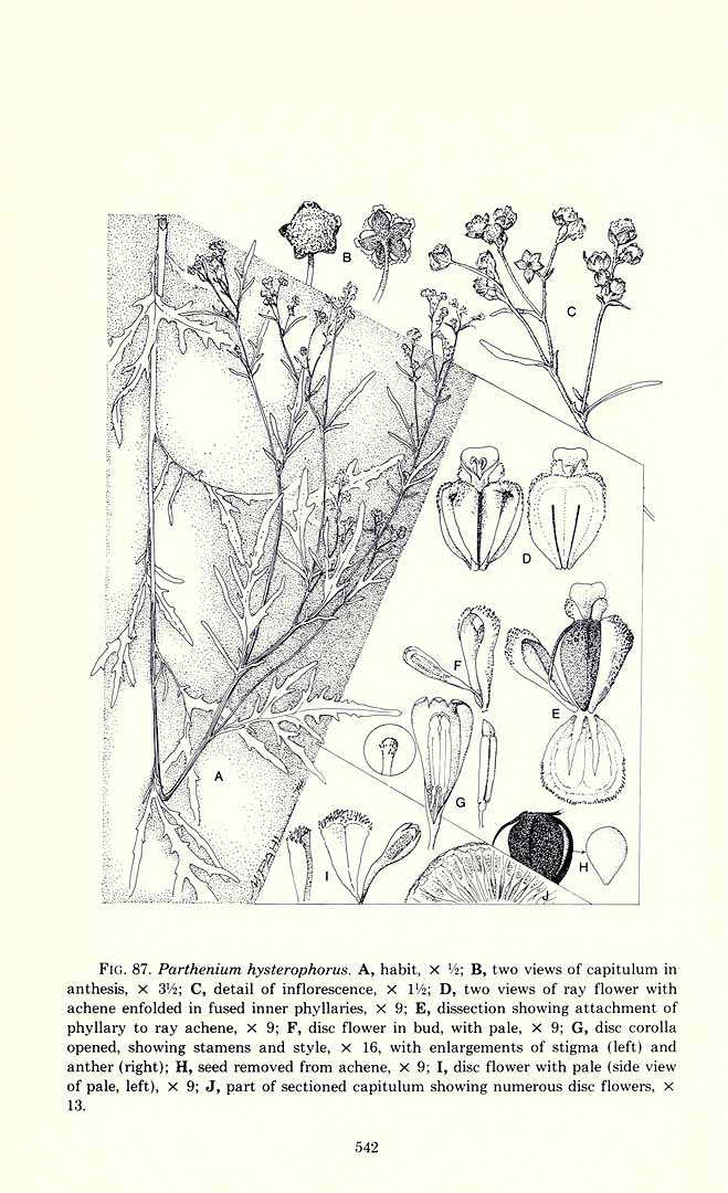 no HD illustration available (3)