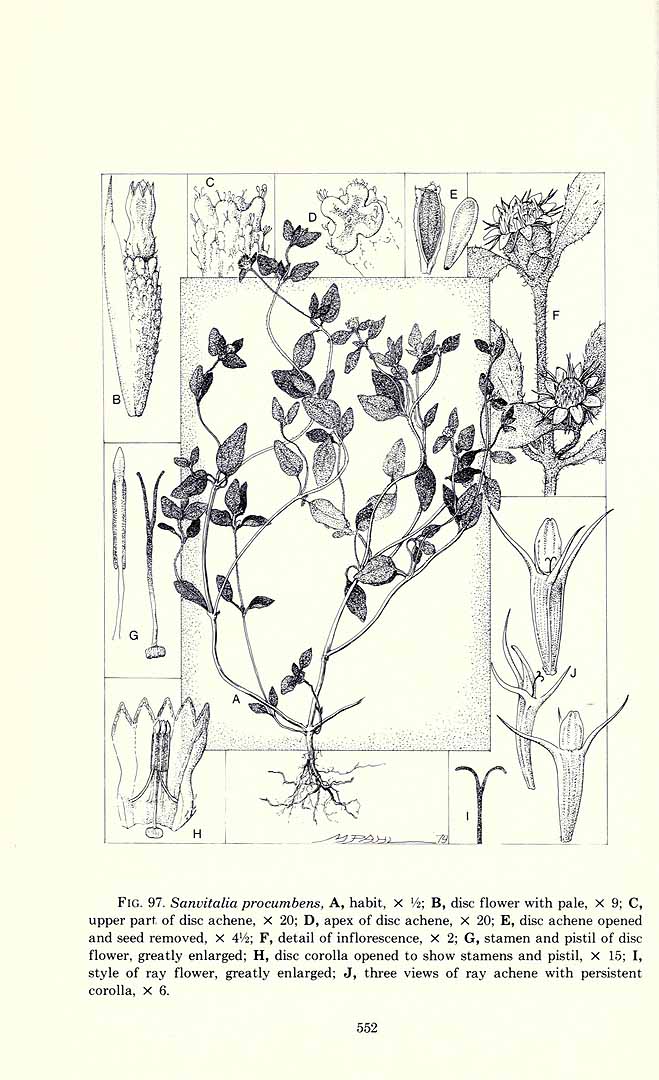 no HD illustration available (3)