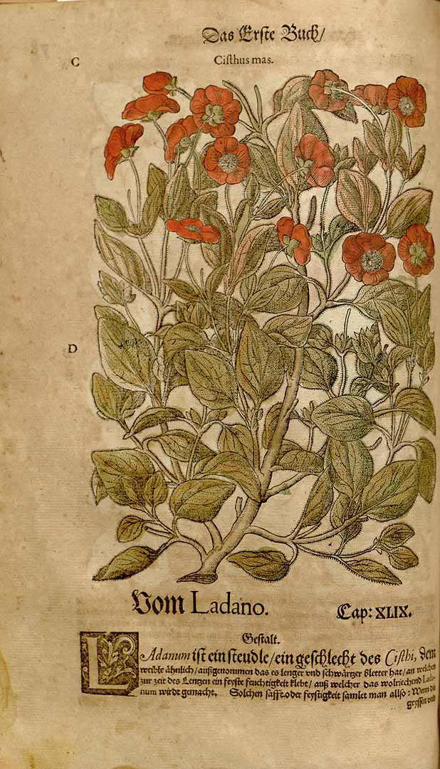 no HD illustration available (3)