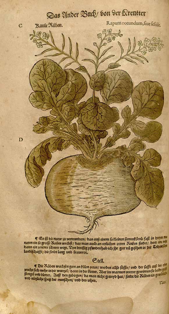 no HD illustration available (3)