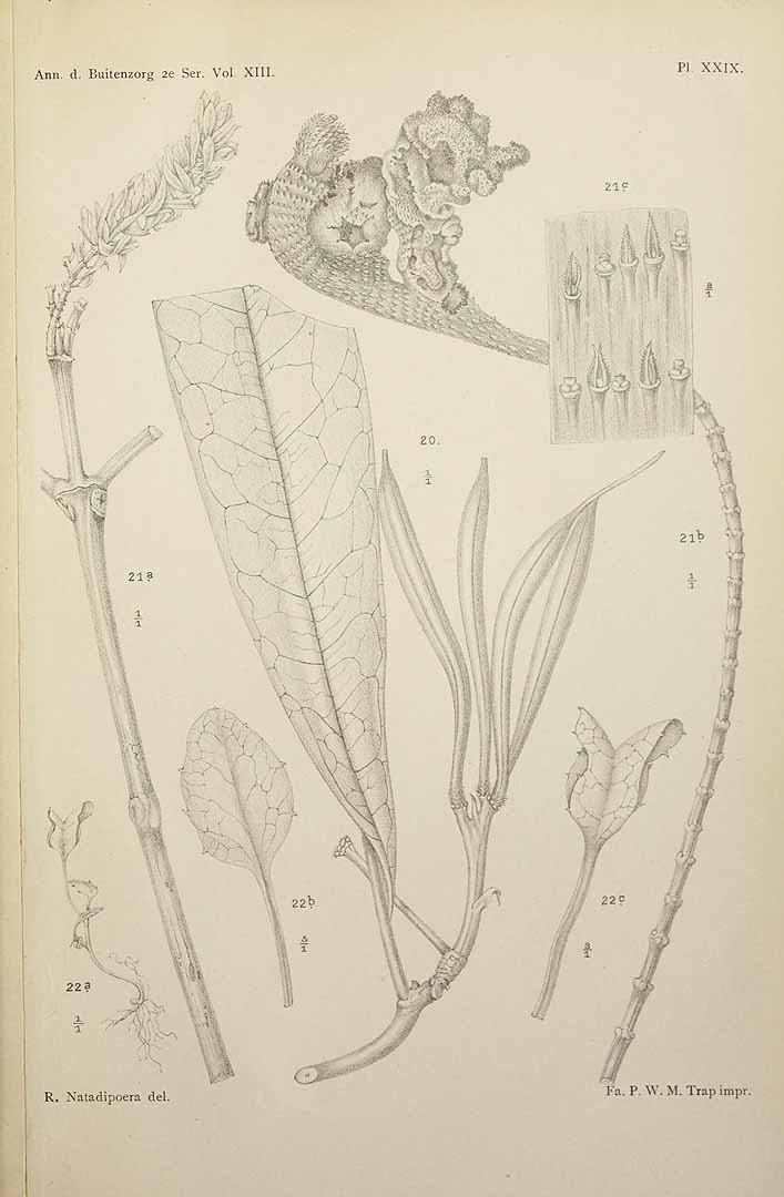 no HD illustration available (3)